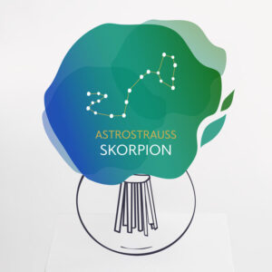 Astrostrauß Skorpion