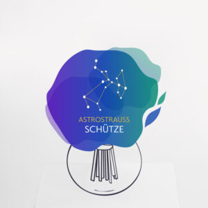 Astrostrauß Schütze