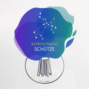 Astrostrauß Schütze