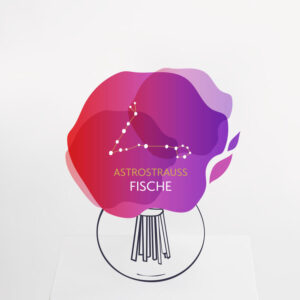Astrostrauß Fische