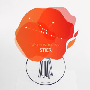 Astrostrau&szlig; Stier