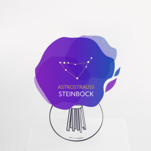 Astrostrauß Steinbock