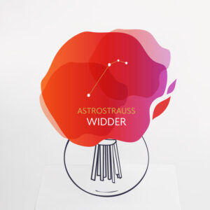 Astrostrauß Widder