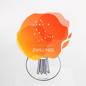 Astrostrauß Zwillinge