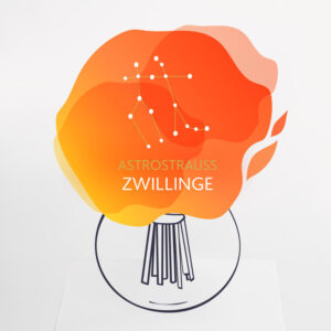 Astrostrauß Zwillinge