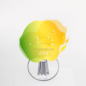 Astrostrauß Löwe