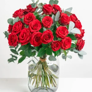 wp-content/uploads/2026/01/XFD540