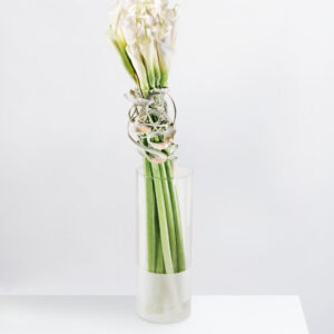 Fleurop Deluxe: Raving Beauty