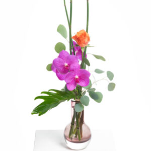 Tropischer Blumengruß