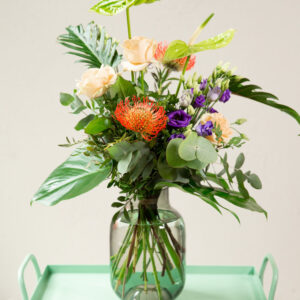 Farben des Dschungels