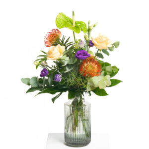 Farben des Dschungels