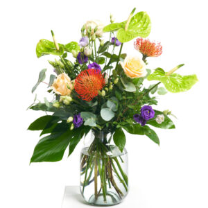 Farben des Dschungels