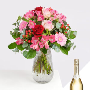 Herzliches Kompliment mit Schlumberger Sekt