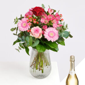 Herzliches Kompliment mit Schlumberger Sekt