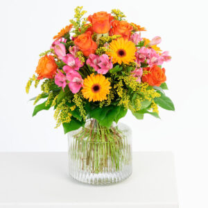 Sonnige Geburtstagsgrüße