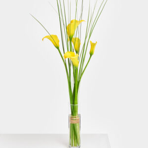 Leuchtende Blütensinfonie