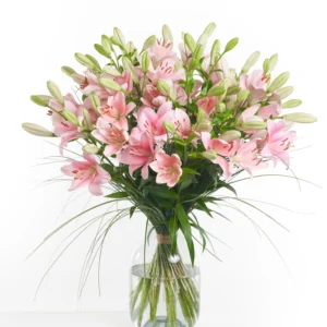 wp-content/uploads/2026/01/XFD627