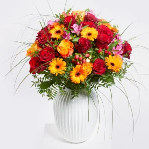 wp-content/uploads/2026/01/XFD640