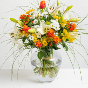 Freundlicher Empfang