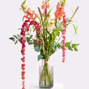 Sommerlicher Urlaubsgruß