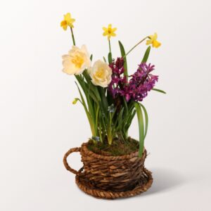 Frühlingsflirt im Tassenkorb
