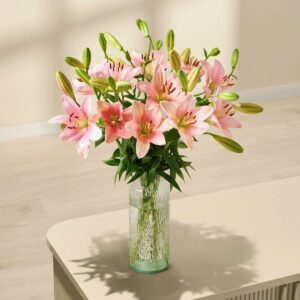 Rosa Lilien gefüllt - 5 Stiele