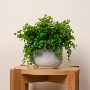 Übertopf Keramik Sand Graublau - 10,5 cm