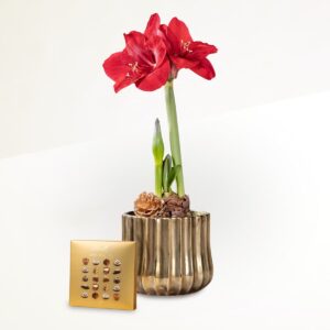 Goldschimmer mit Lindt Mini Pralinés Gold