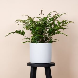 Keramik Übertopf Weiß - 21 cm