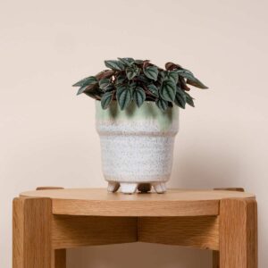 Keramik Übertopf Orchidee Grün/Weiß - 11,5 cm