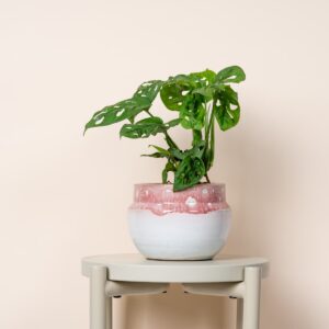 Keramik Übertopf Terrakotta-Rot/Pink-Weiß - 10,5 cm