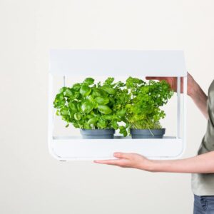 Gewächshaus inkl. Licht Weiß