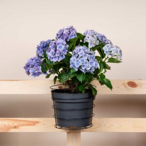 Metall Balkontopfh&auml;nger Rund Schwarz - 26 cm