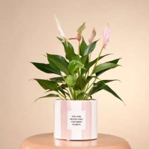 Keramik Übertopf Rosa - 10,5 cm