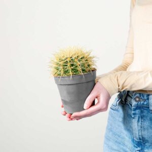 Schwiegermutterstuhl 'Grussoni' M