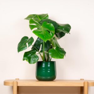 Keramik Übertopf Dunkelgrün - 21 cm