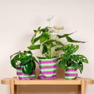 Körbe Gestreift Grün/Pink 3-er Set