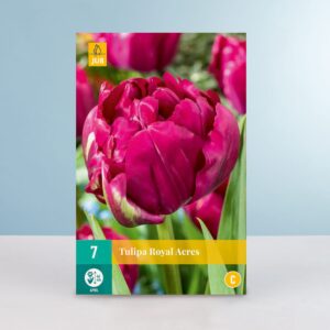 Gefüllte frühe Tulpe 'Royal Acres' - 7 Zwiebeln