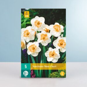 Großblumige Narzisse 'Mon Cheri' - 5 Zwiebeln