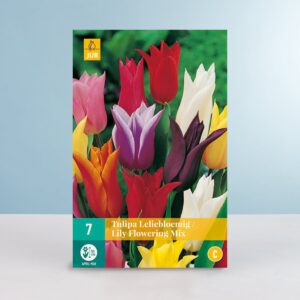 Lilienblütiger Tulpen 'Lily Flowering' Mix - 7 Zwiebeln