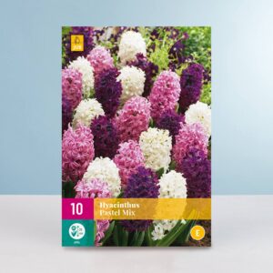 Hyazinthen 'Pastel' Mix - 10 Zwiebeln