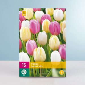 Einfacher später Tulpen 'Sorbet' Mix - 15 Zwiebeln