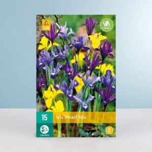 Schwertlilien 'Dwarf' Mix - 15 Zwiebeln