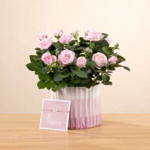 Rosy Pastel mit Herz-Armband