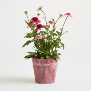 Übertopf Metall Berry - 23 cm