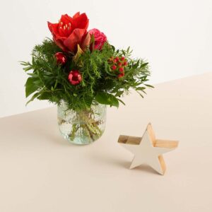 Weihnachtsgruß mit Dekostern Weiß