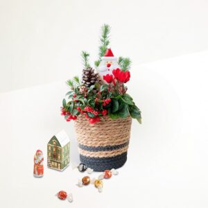 Dear Santa mit Lindt Weihnachtshaus 100g