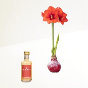 Winterbote mit Lebkuchen-Eierlikör 50ml