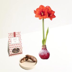 Winterbote mit Cantucci Almond & Chocolate 200g