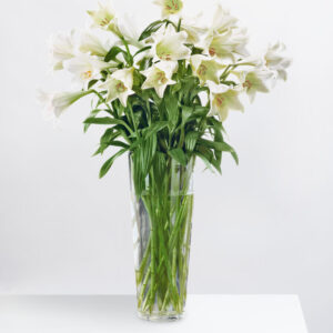 Fleurop Deluxe: White Lilies